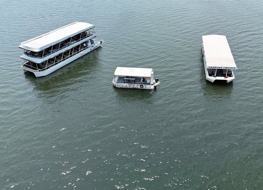 Zambezi Sunset Cruise