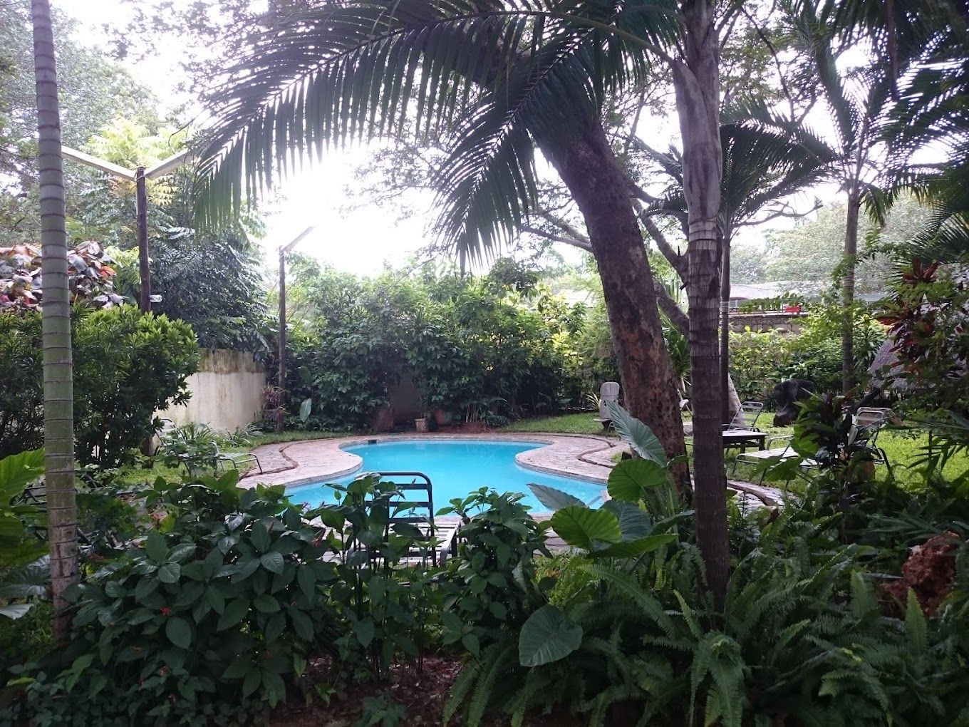 The pool seen through the palms in the Pamusha gardens