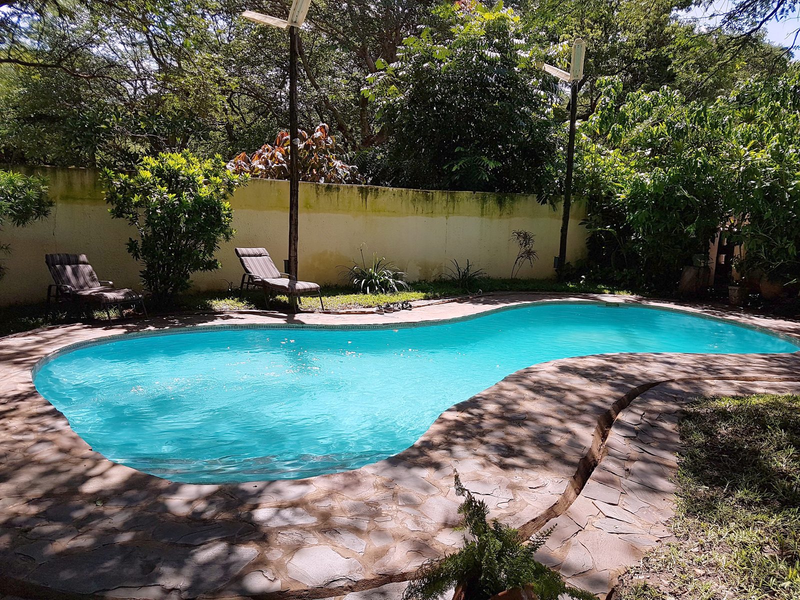 The pool in dappled shade